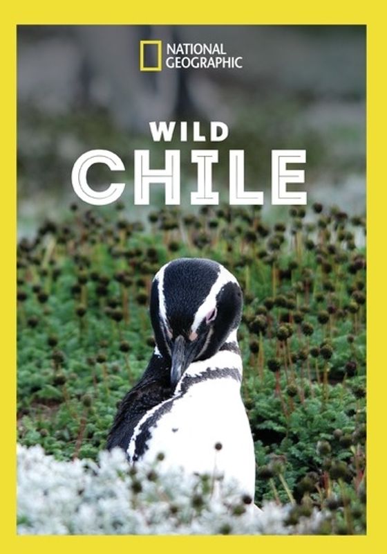 National Geographic: Wild Chile cover art