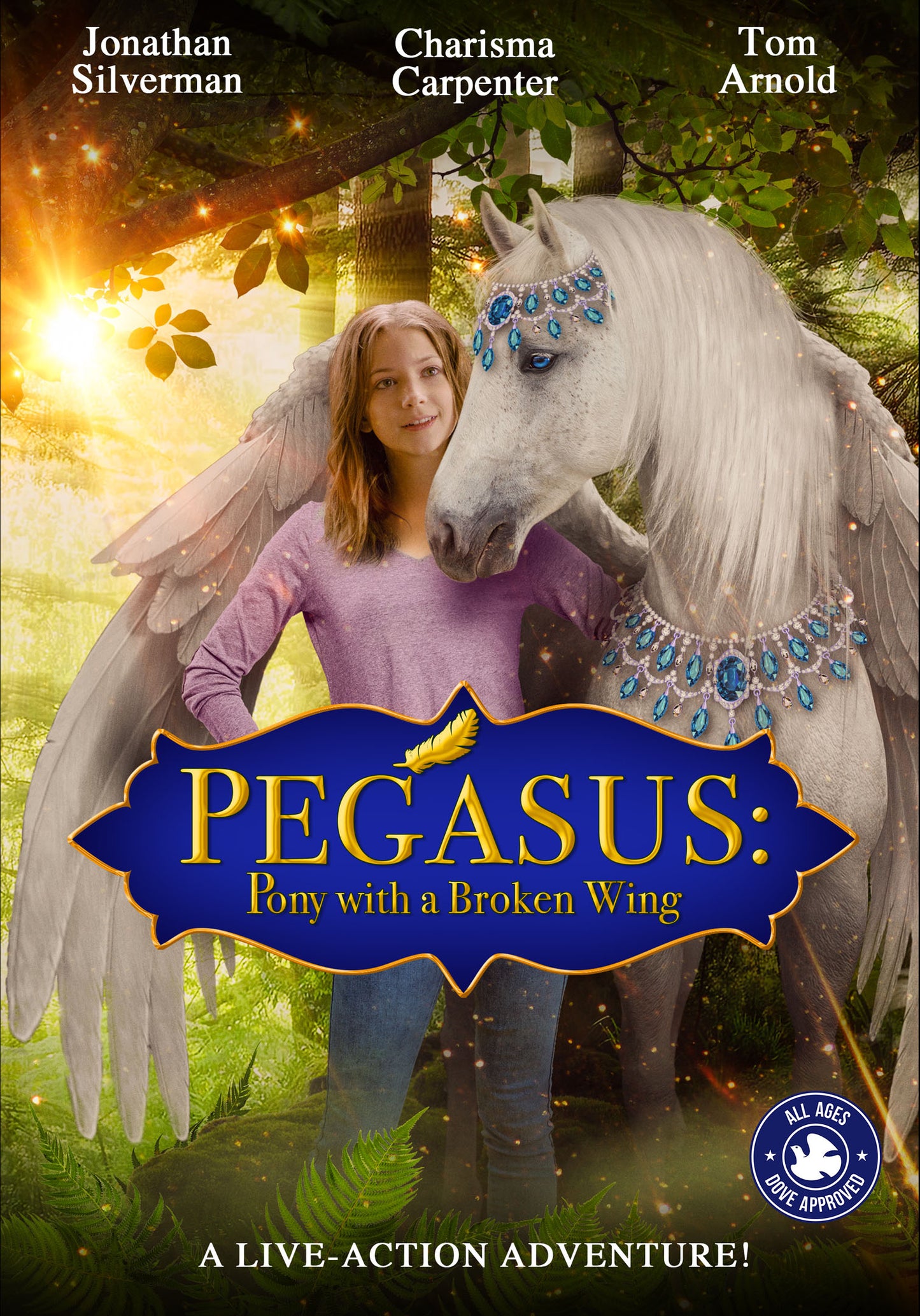 Pegasus: Pony with a Broken Wing cover art