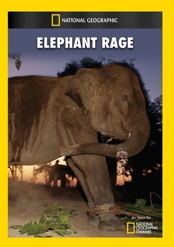 Elephant Rage cover art