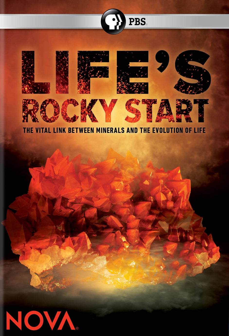 NOVA: Life's Rocky Start cover art