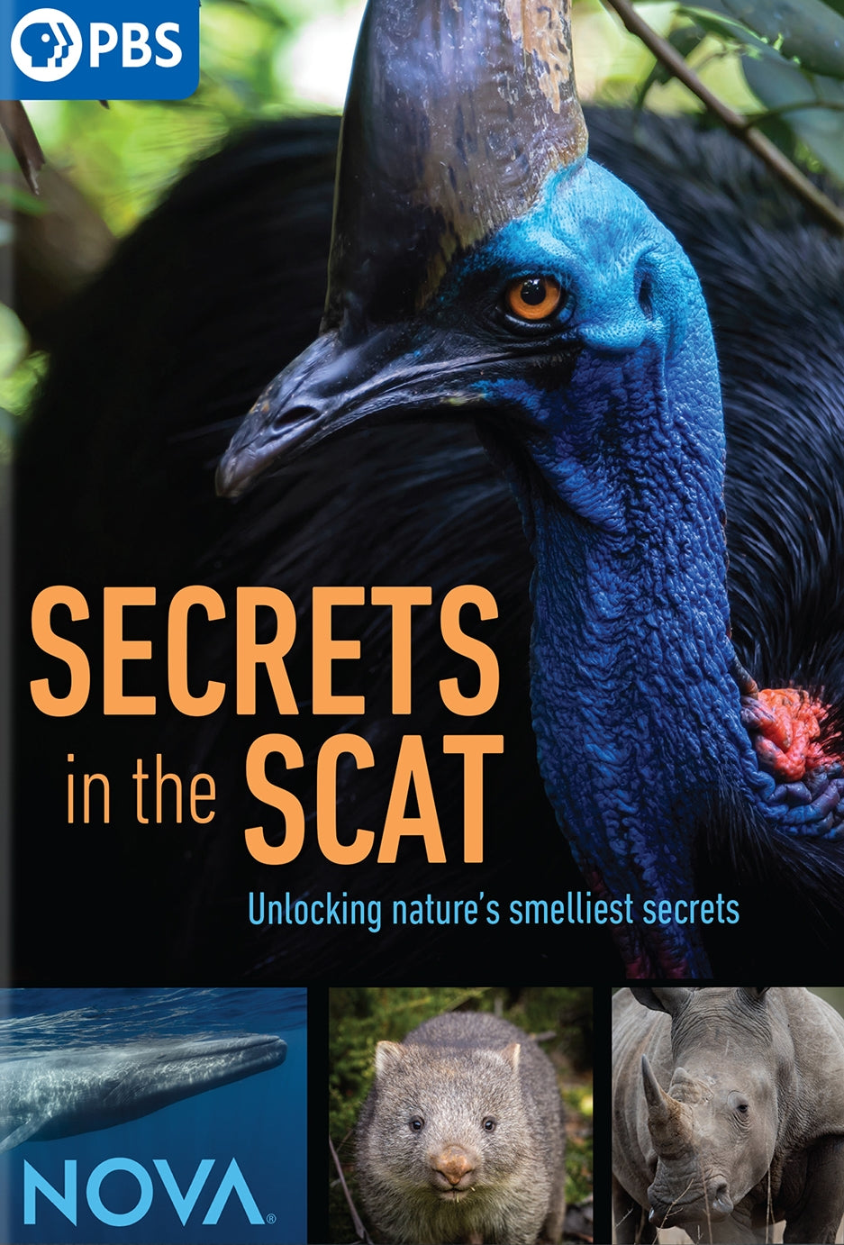 NOVA: Secrets in the Scat cover art