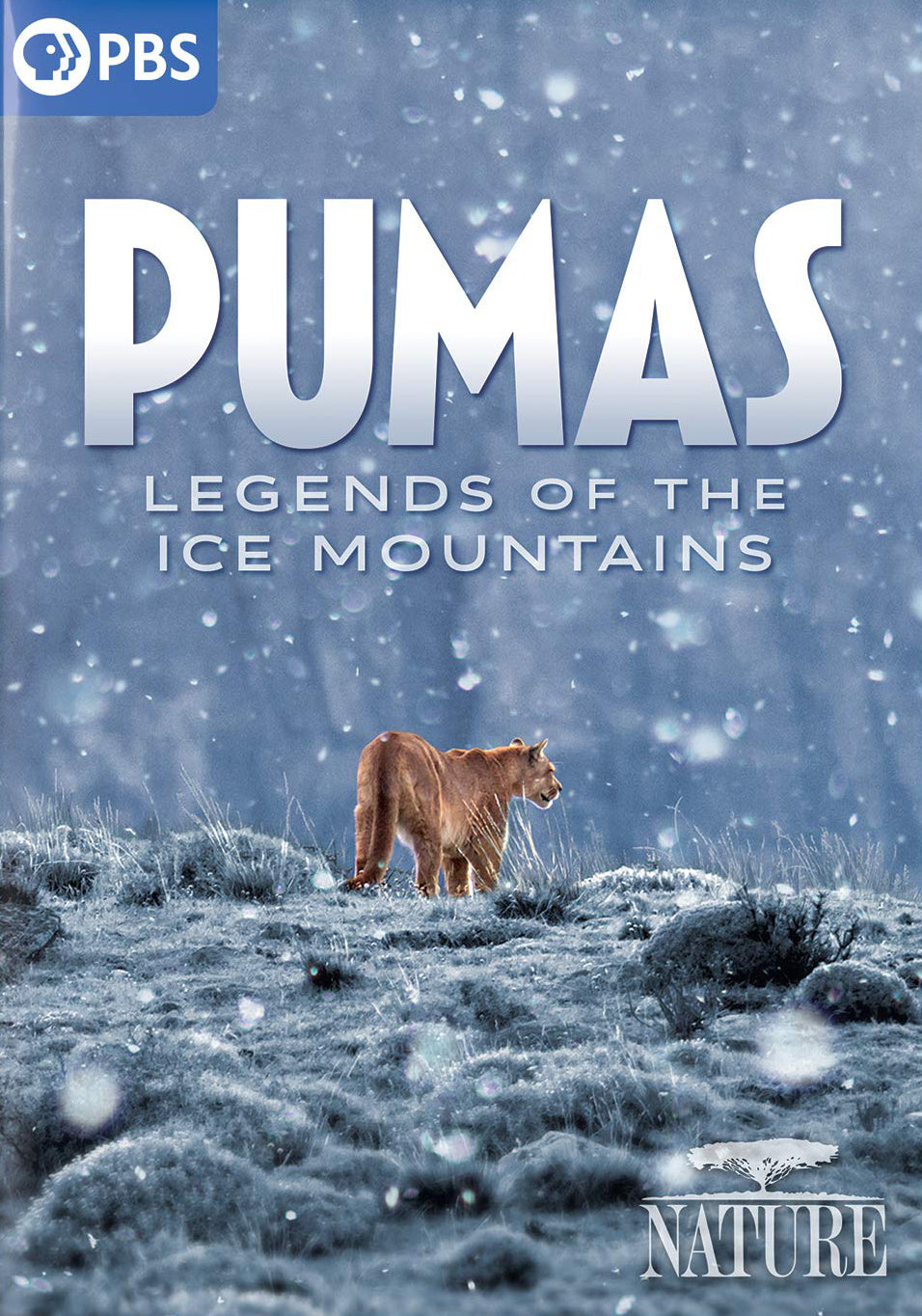 Nature: Pumas - Legends of the Ice Mountains cover art