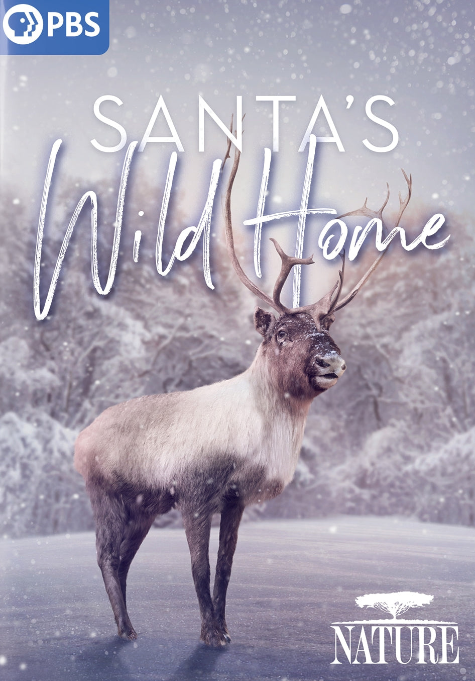 Nature: Santa's Wild Home cover art