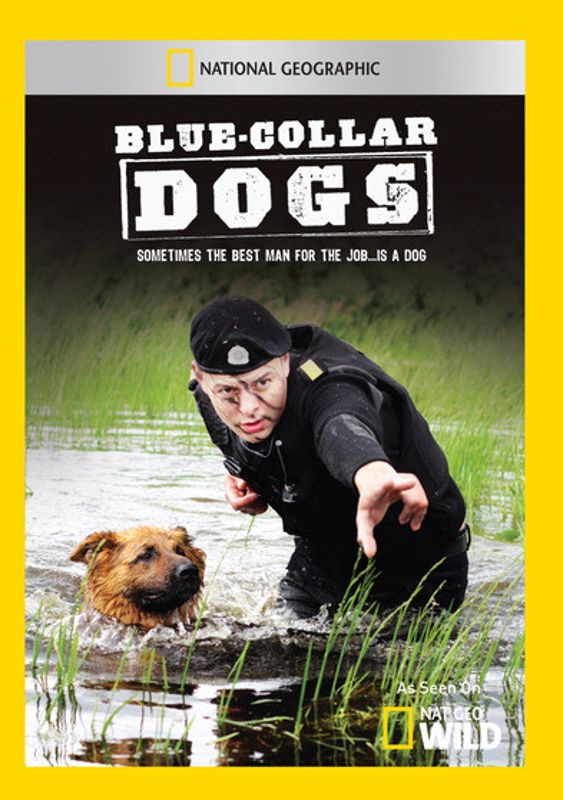 Blue Collar Dogs cover art