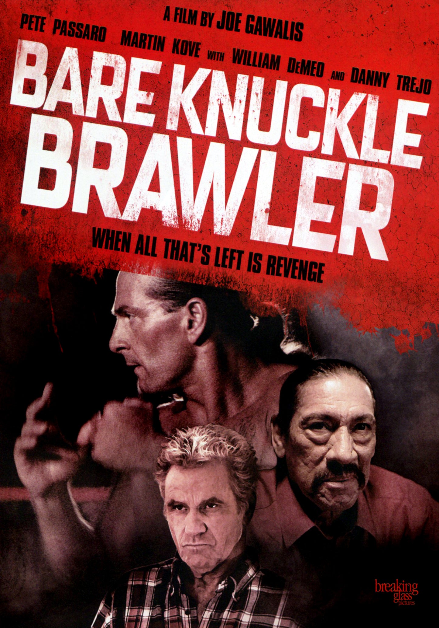 Bare Knuckle Brawler cover art