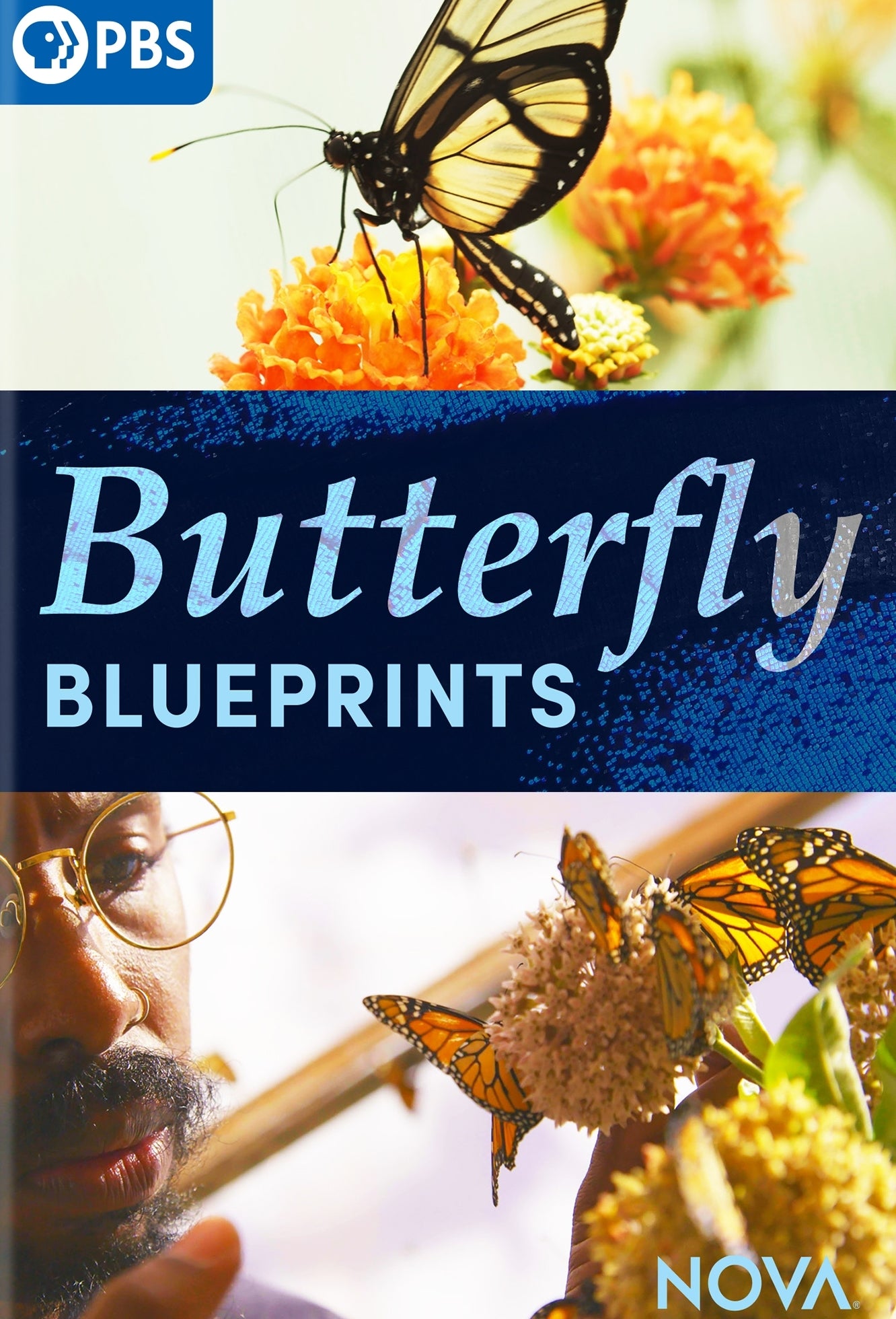 NOVA: Butterfly Blueprints cover art