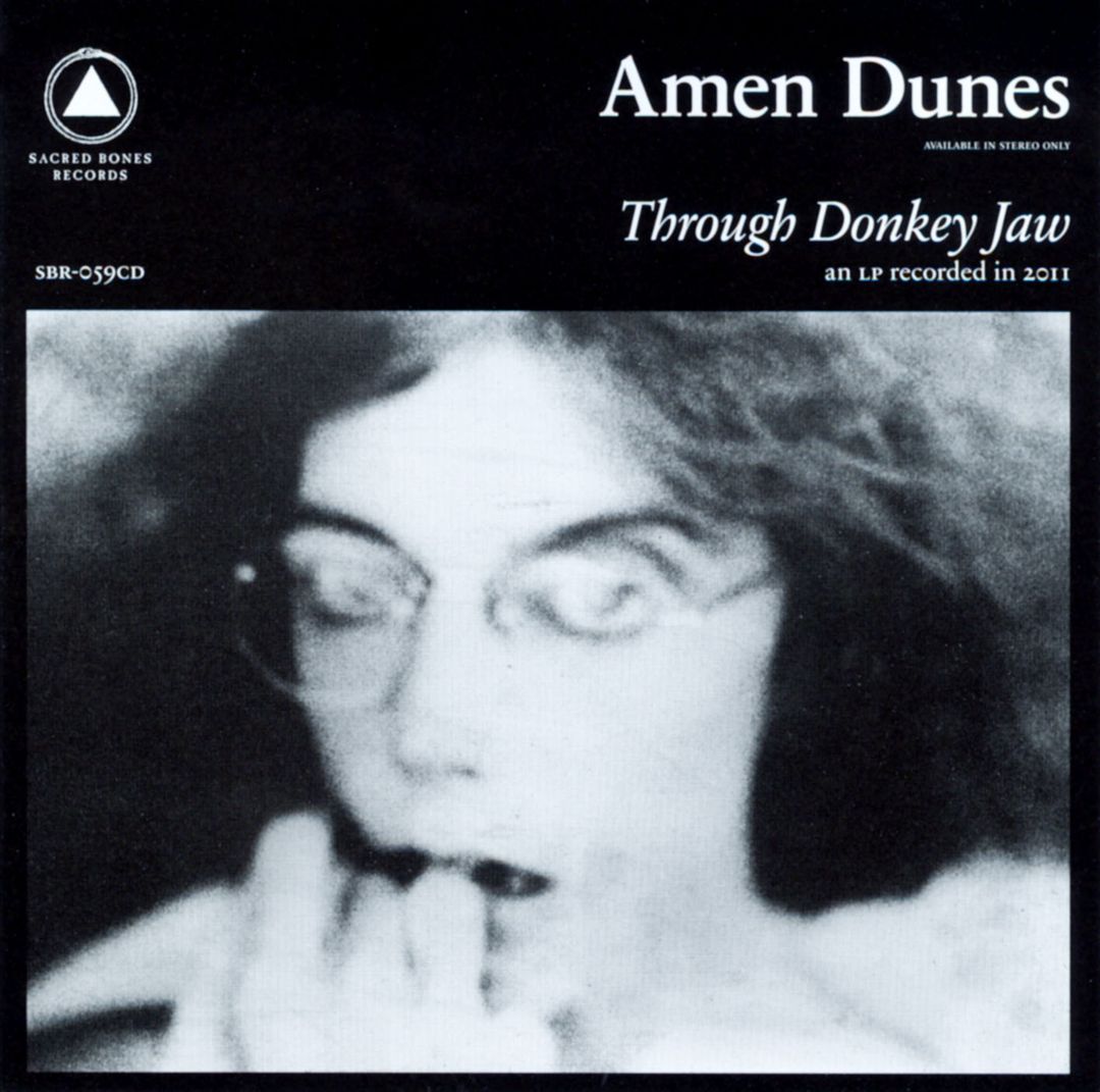 Through Donkey Jaw cover art