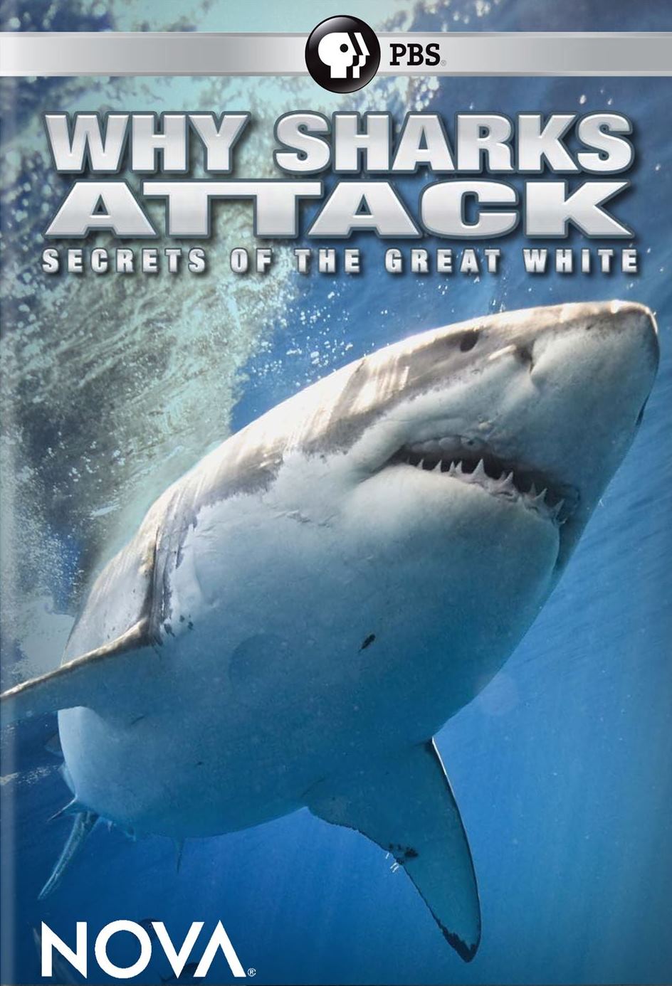 NOVA: Why Sharks Attack cover art