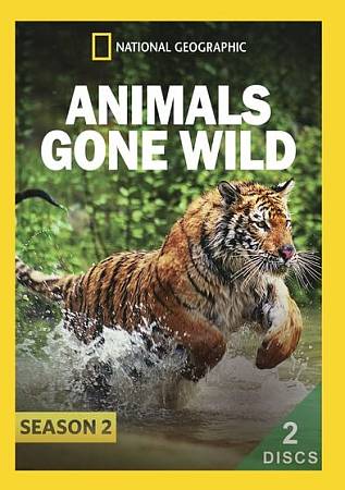 Animals Gone Wild: Season 2 cover art