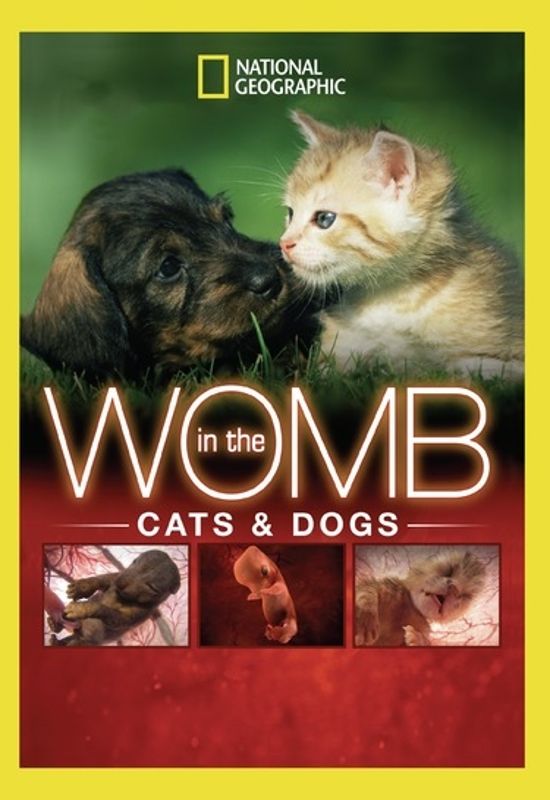 National Geographic: In the Womb - Cats & Dogs cover art