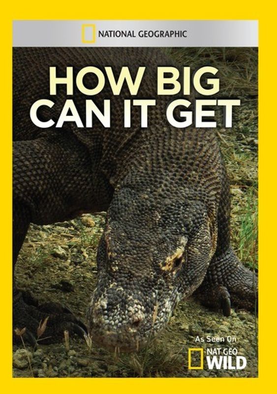 How Big Can It Get? cover art