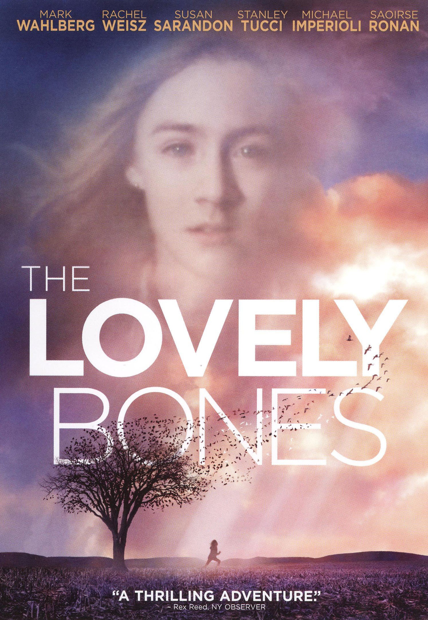 Lovely Bones cover art
