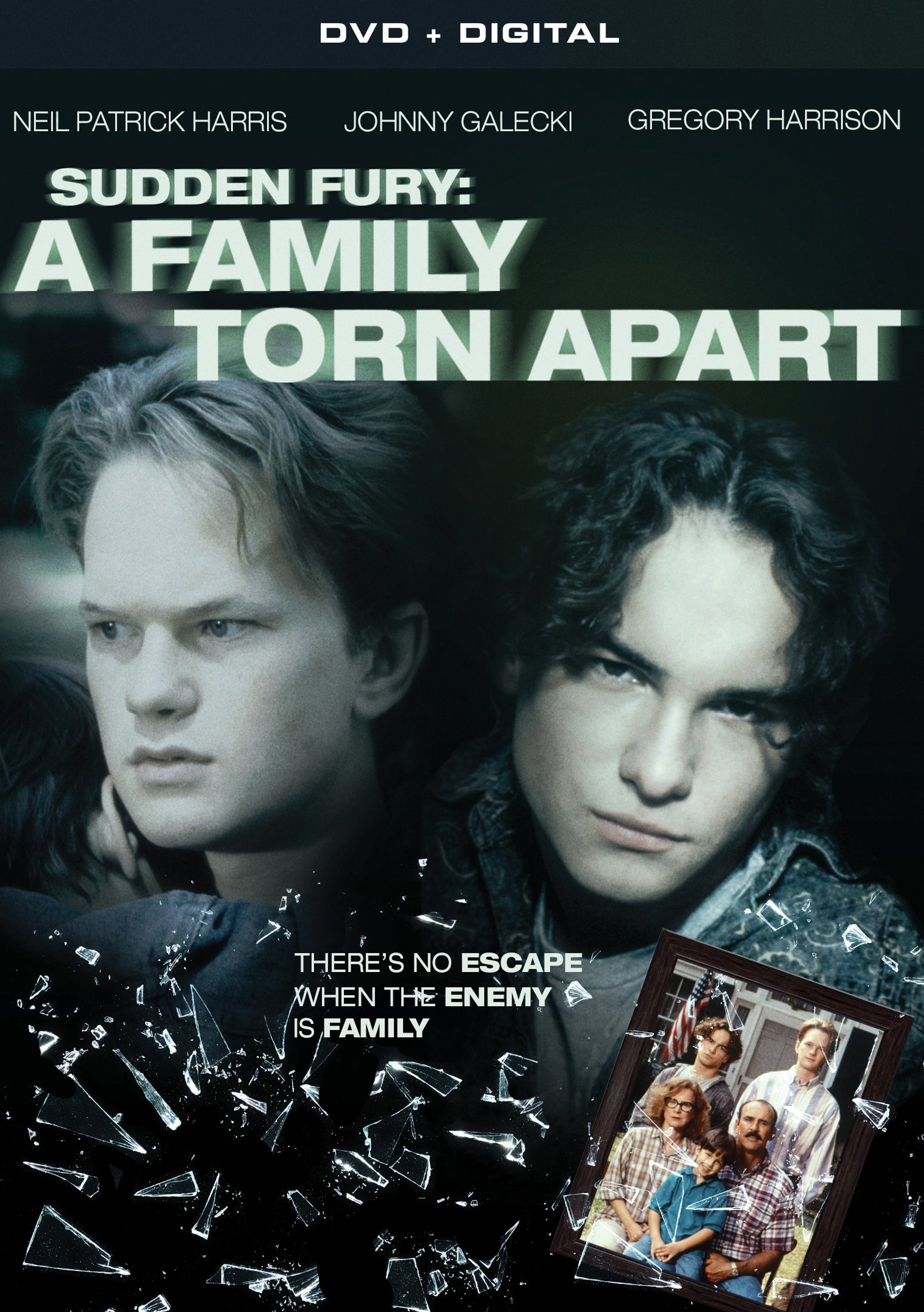 Sudden Fury: A Family Torn Apart cover art