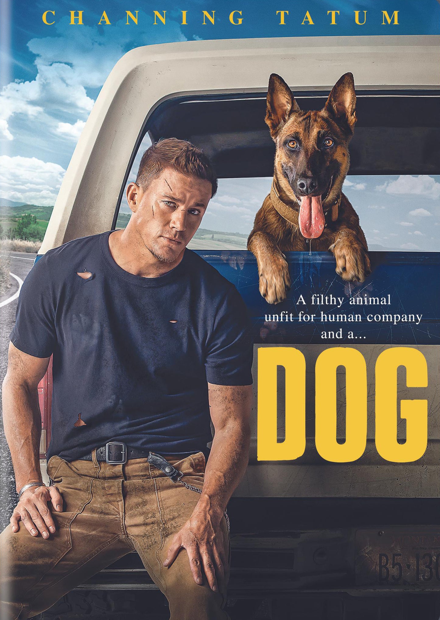 Dog cover art