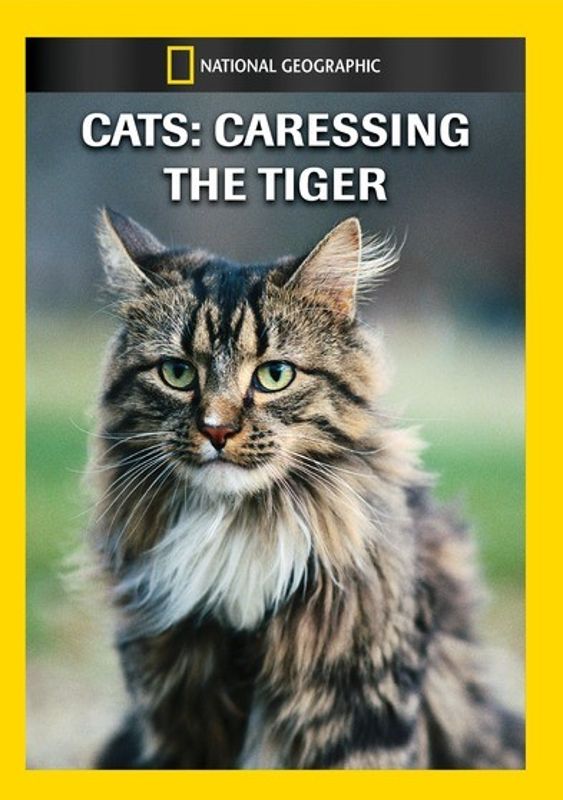 Cats: Caressing the Tiger cover art