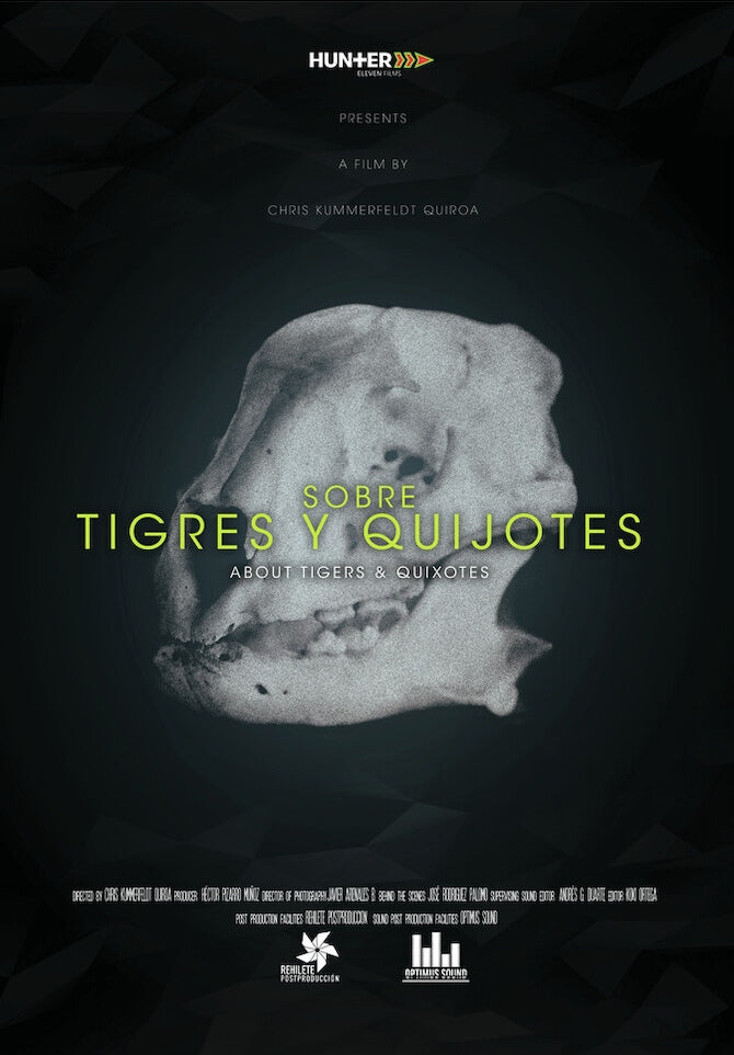 About Tigers and Quixotes cover art
