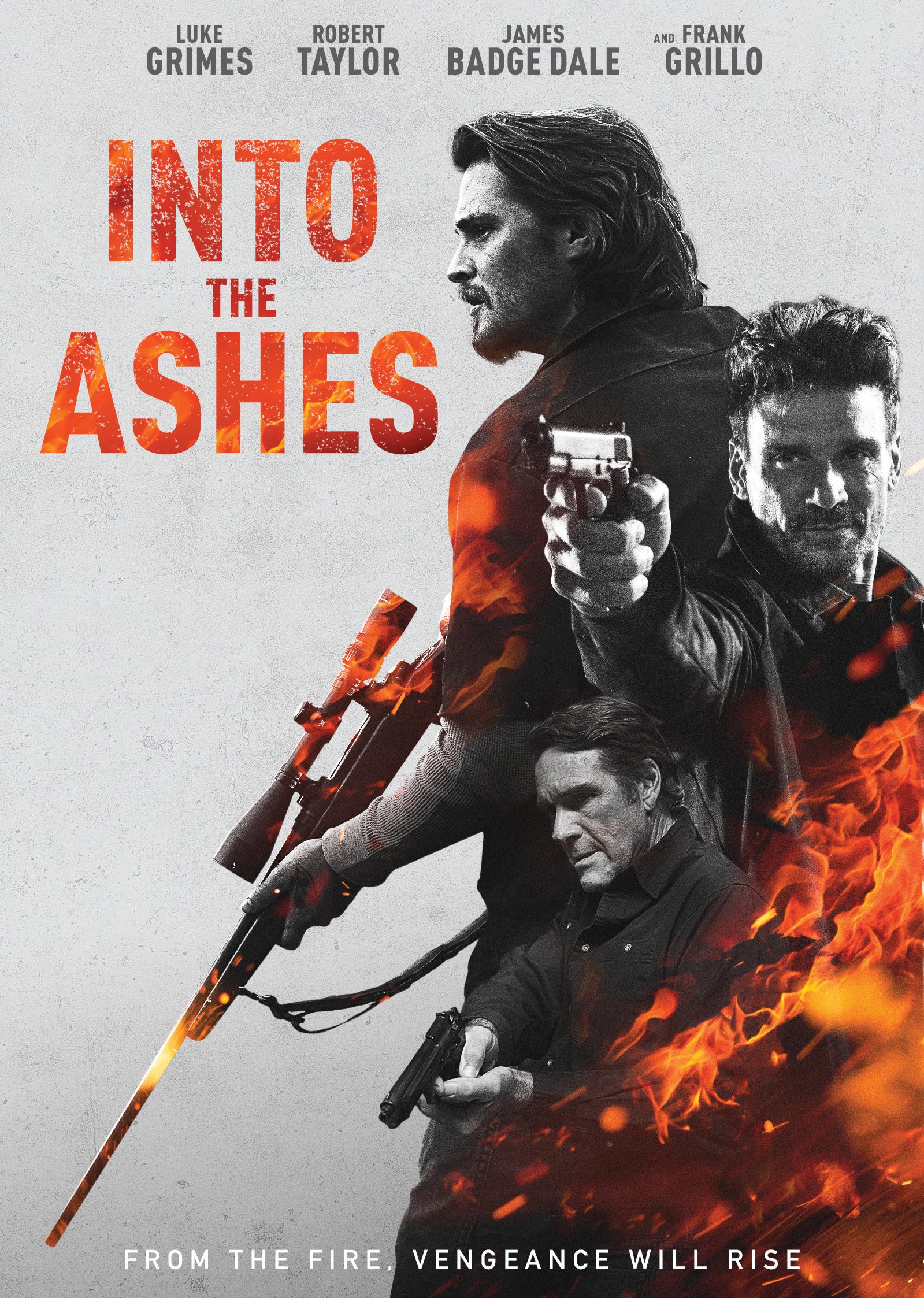 Into the Ashes cover art