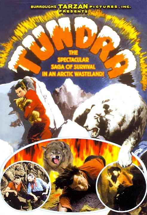 Tundra cover art