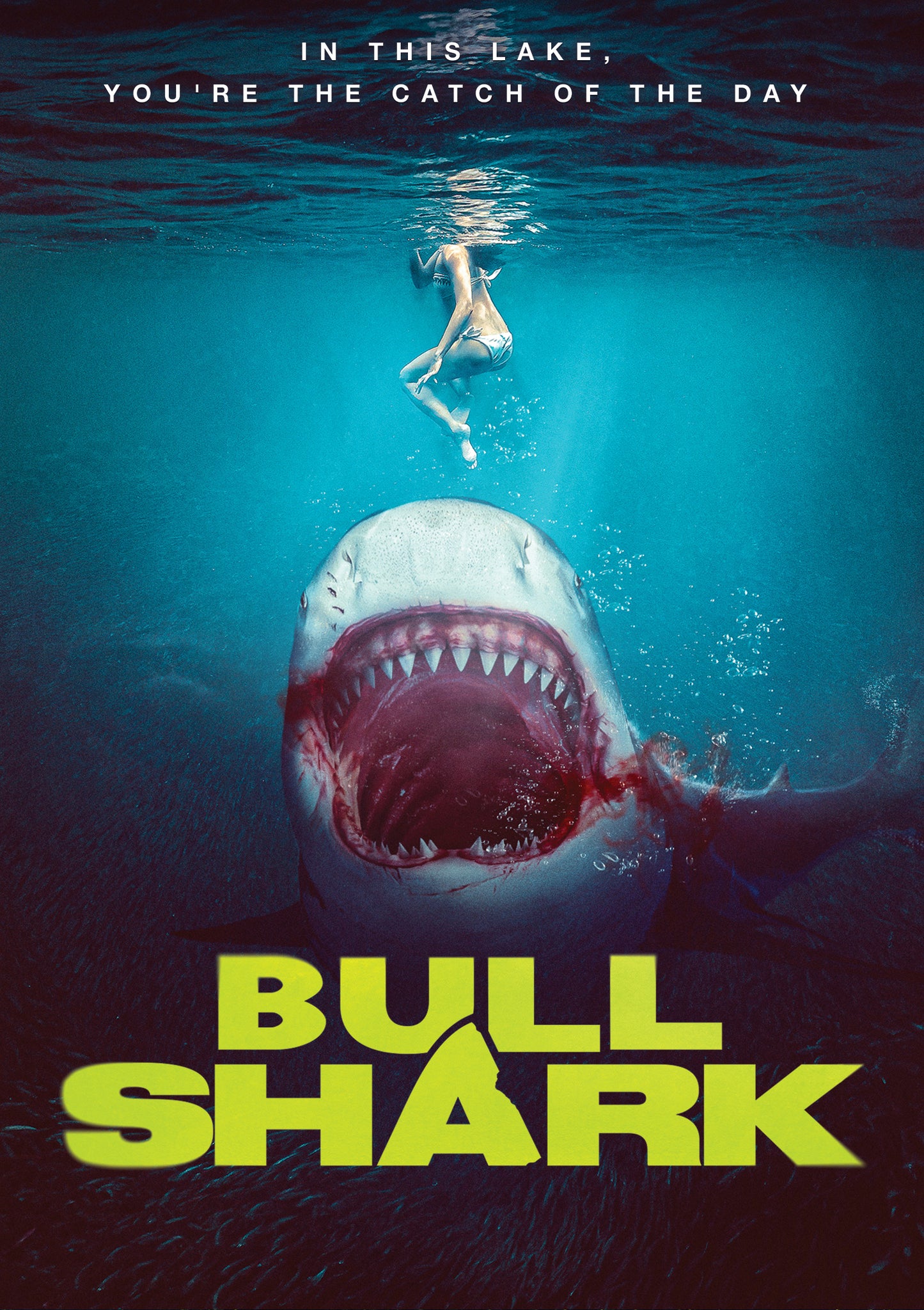 Bull Shark cover art