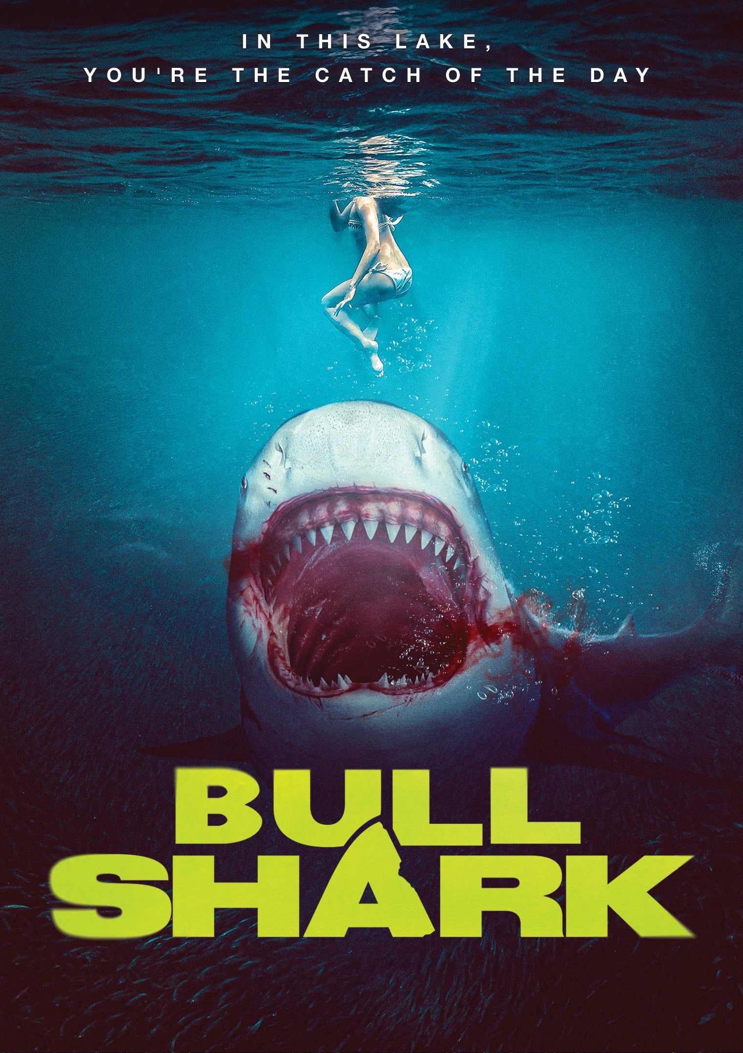 Bull Shark cover art