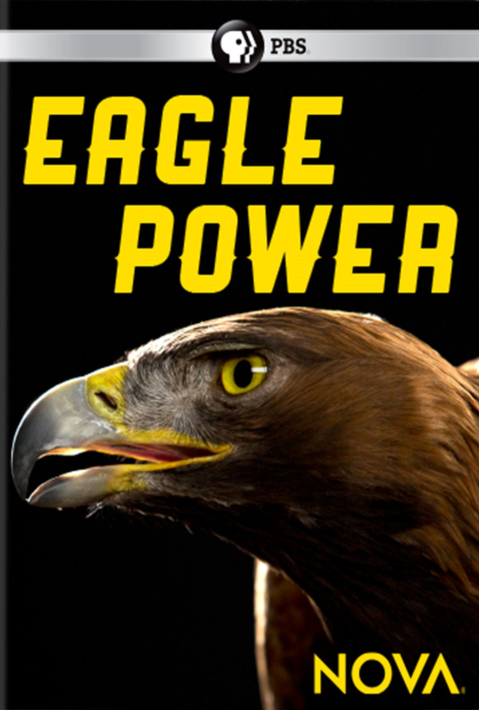 NOVA: Eagle Power cover art