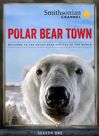 Polar Bear Town: Season One cover art