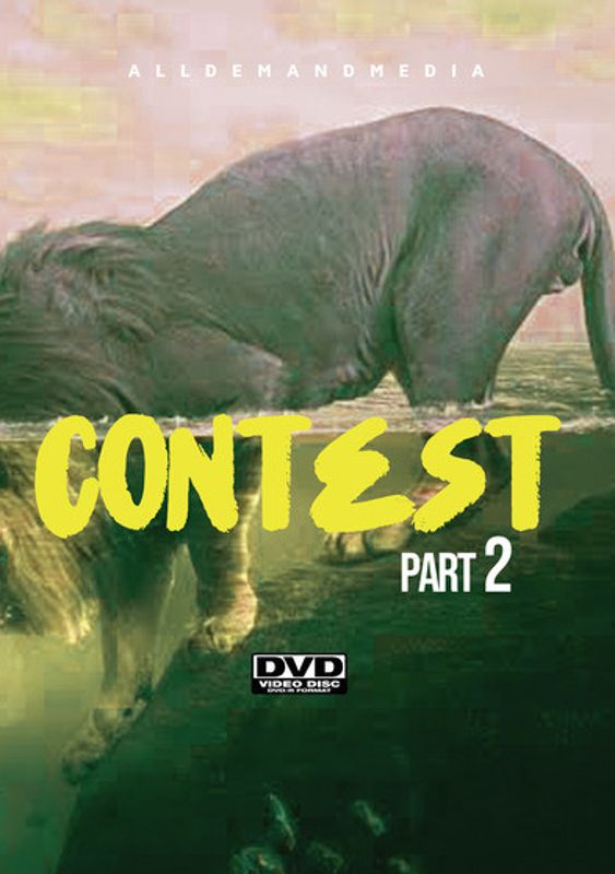 Contest 2 cover art