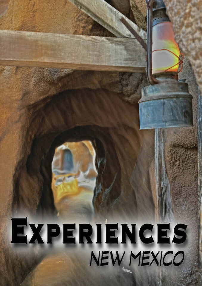 Experiences: New Mexico cover art