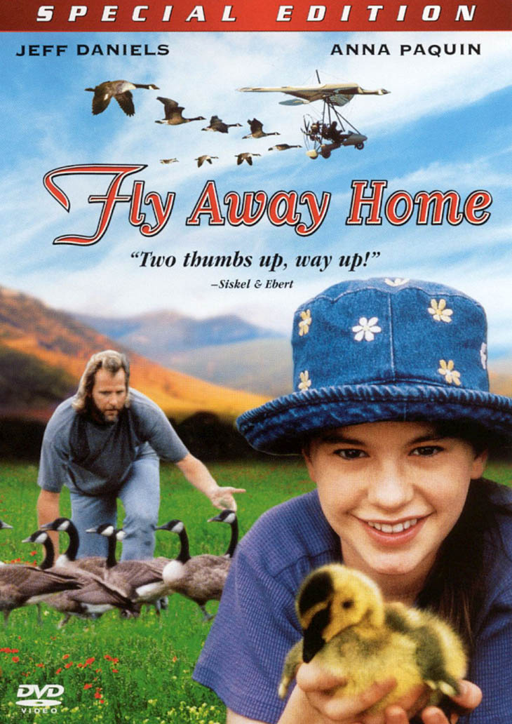Fly Away Home [WS] [Special Edition] cover art