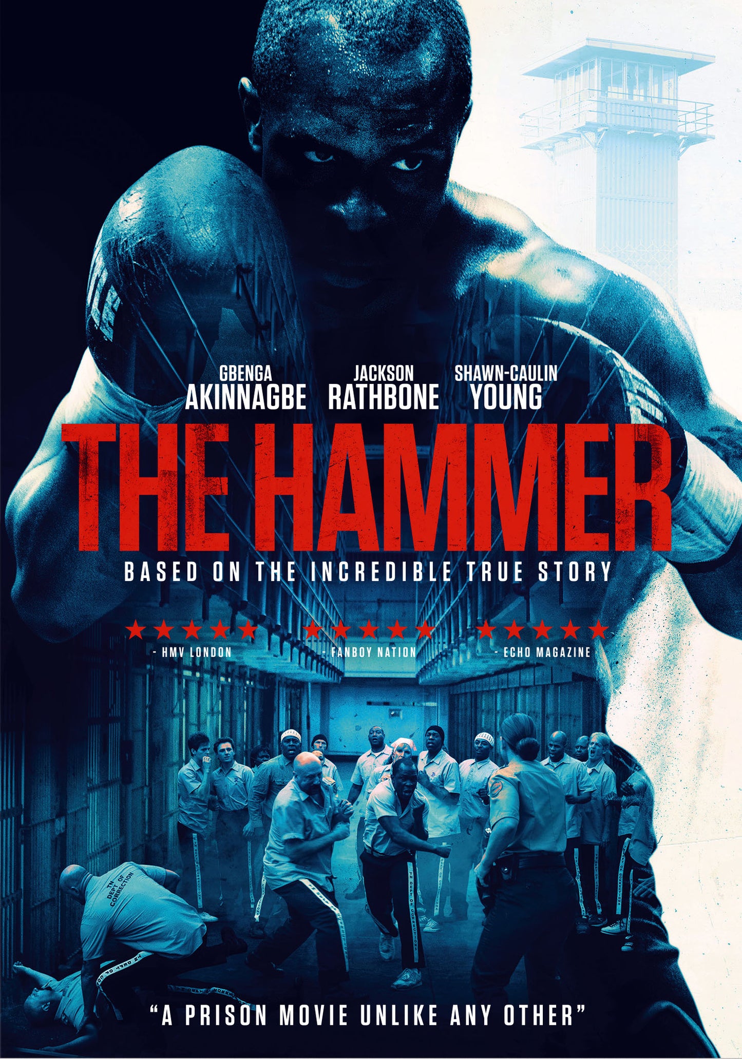 Hammer cover art