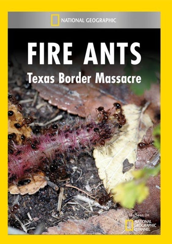 Fire Ants: Texas Border Massacre cover art