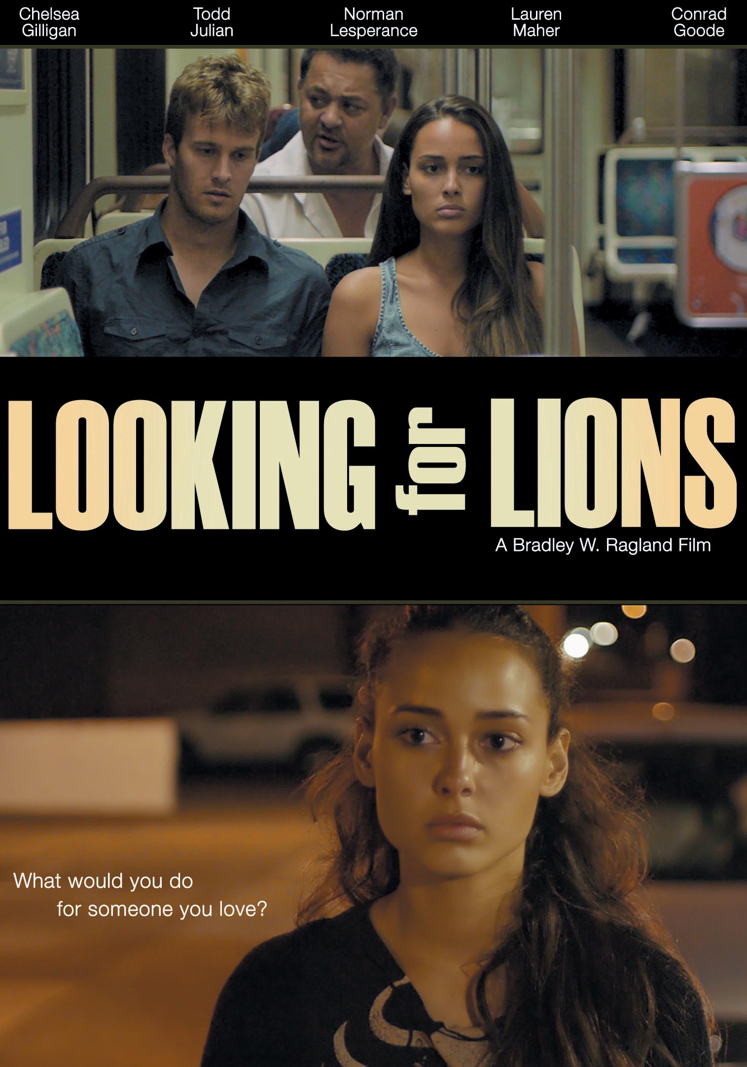 Looking for Lions cover art