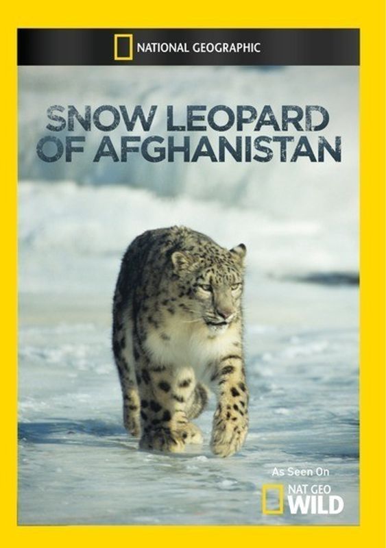 Snow Leopard of Afghanistan cover art