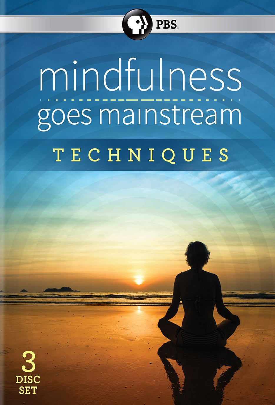 Mindfulness Goes Mainstream: Techniques [3 Discs] cover art