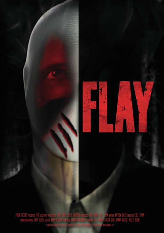 Flay cover art