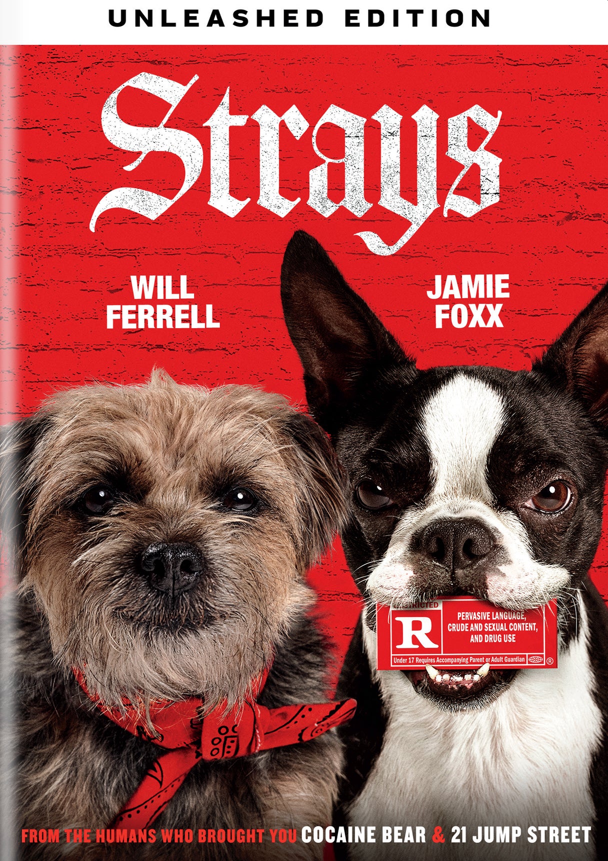 Strays cover art