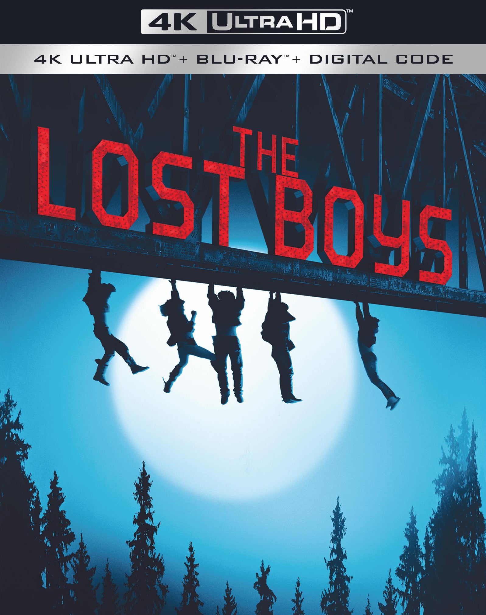 Lost Boys [Includes Digital Copy] [4K Ultra HD Blu-ray/Blu-ray] cover art
