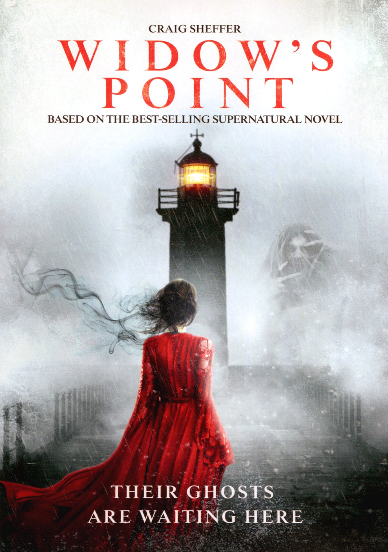 Widow's Point cover art