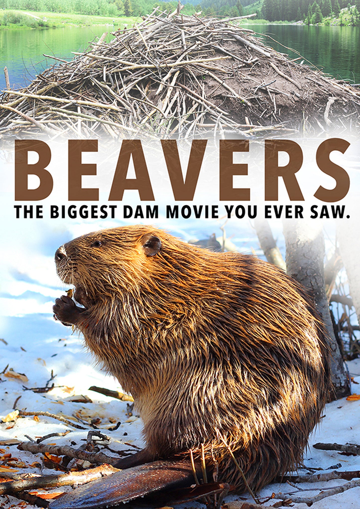 Beavers cover art