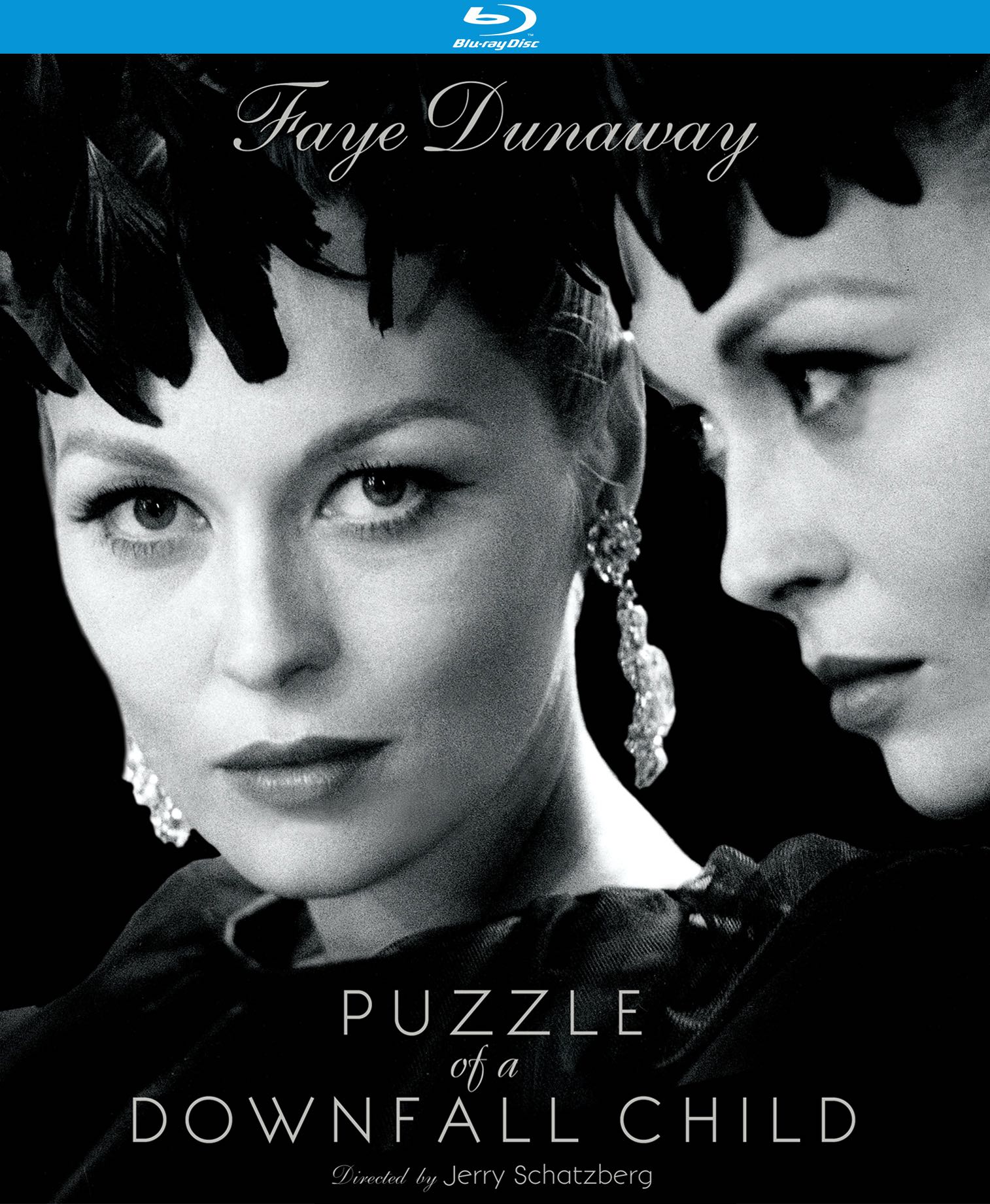 Puzzle of a Downfall Child [Blu-ray] cover art