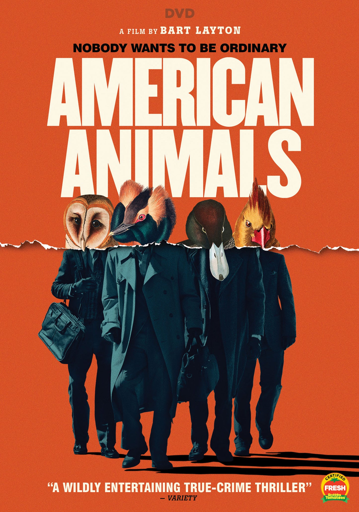 American Animals cover art