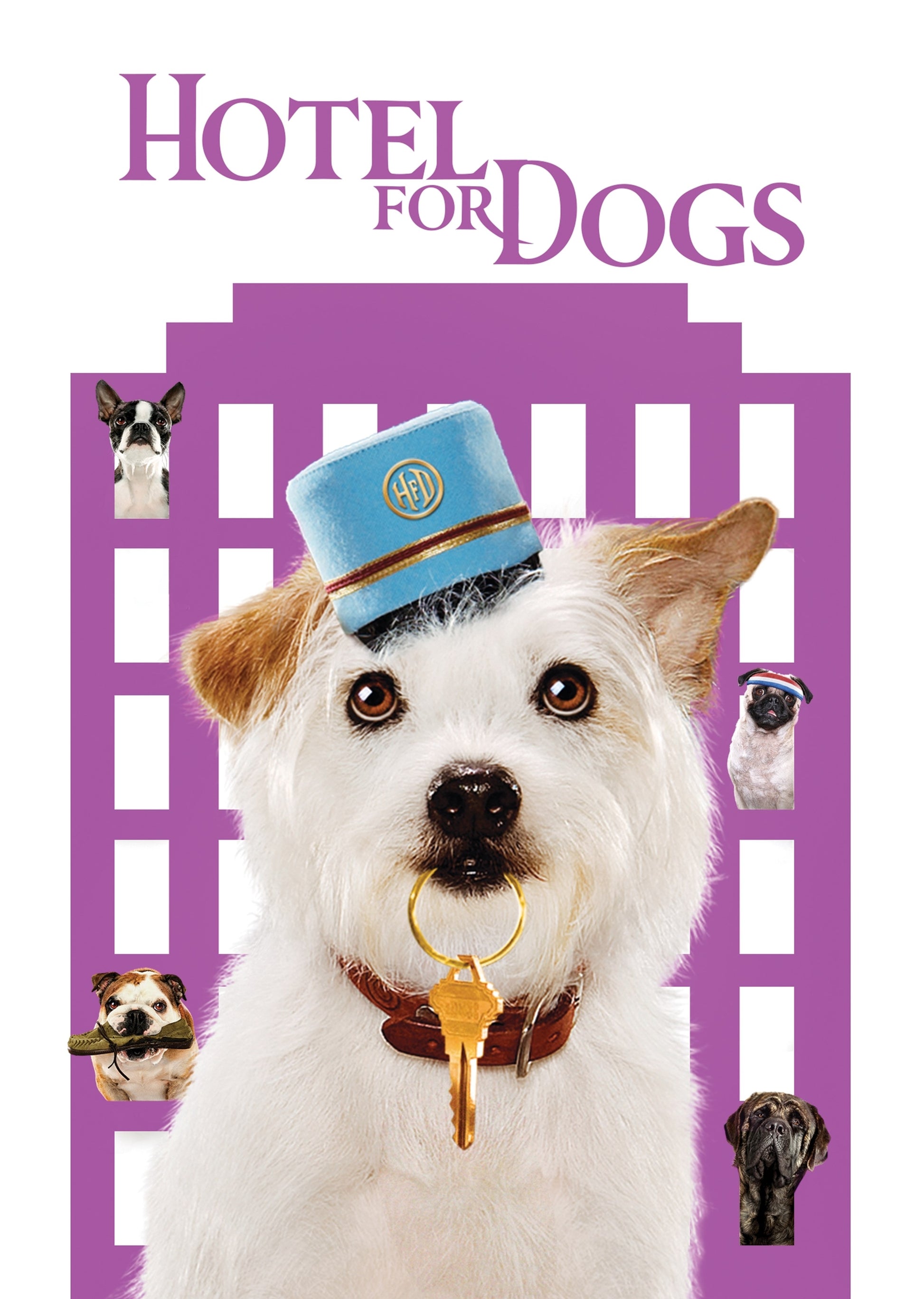 Hotel for Dogs cover art