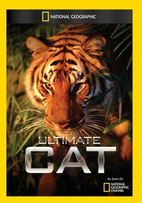 Ultimate Cat cover art