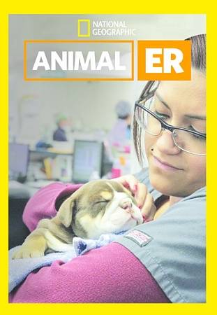 Animal ER cover art