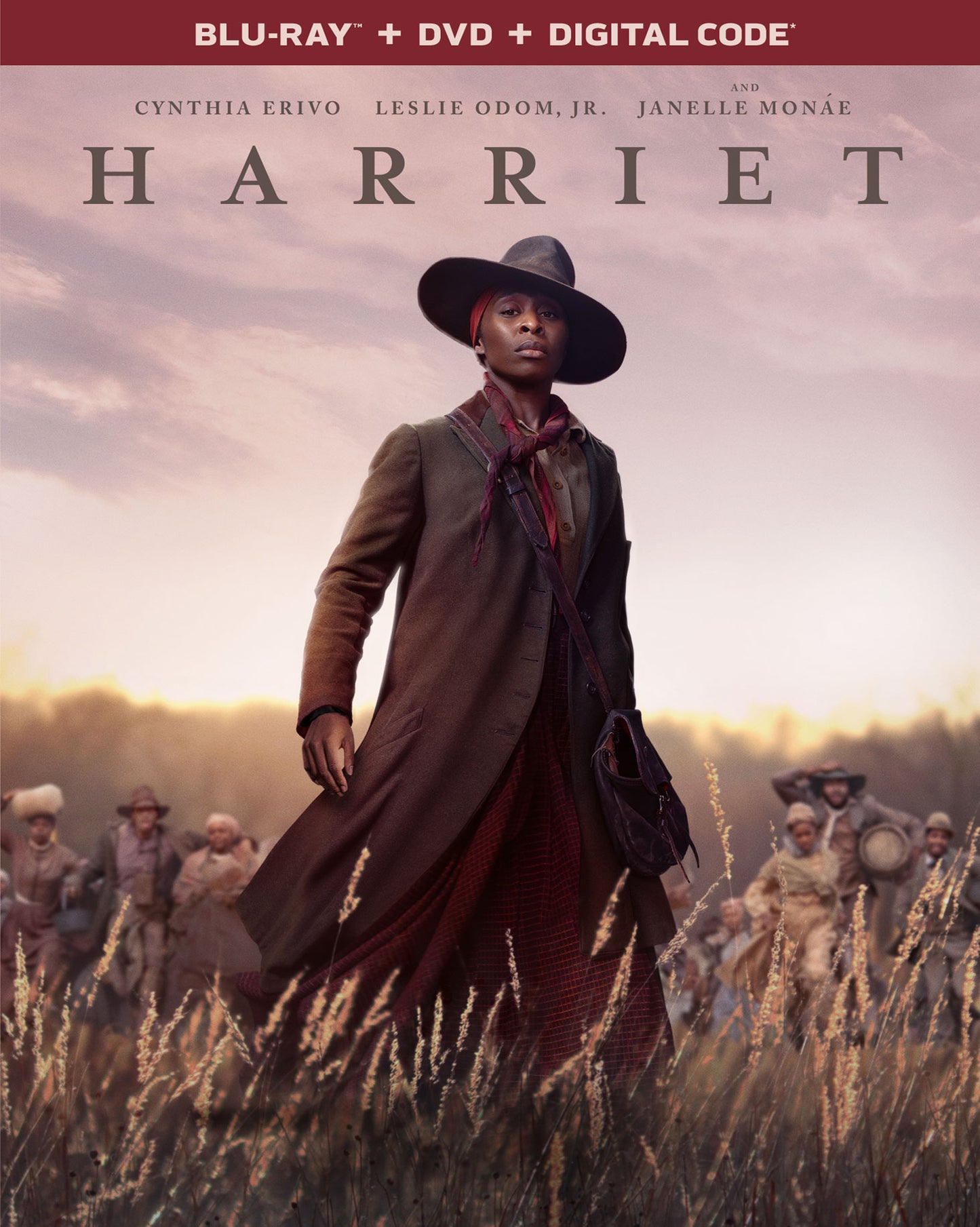 Harriet [Includes Digital Copy] [Blu-ray/DVD] cover art