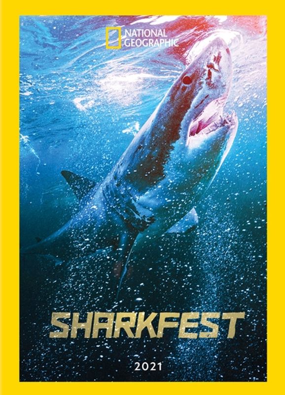 Sharkfest 2021 cover art