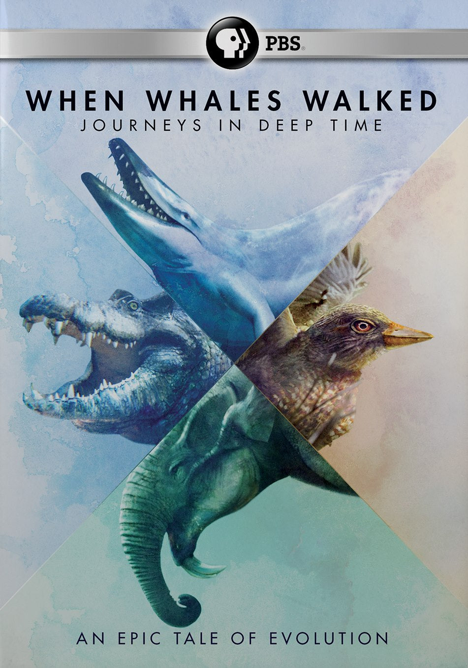 When Whales Walked: A Deep Time Journey cover art