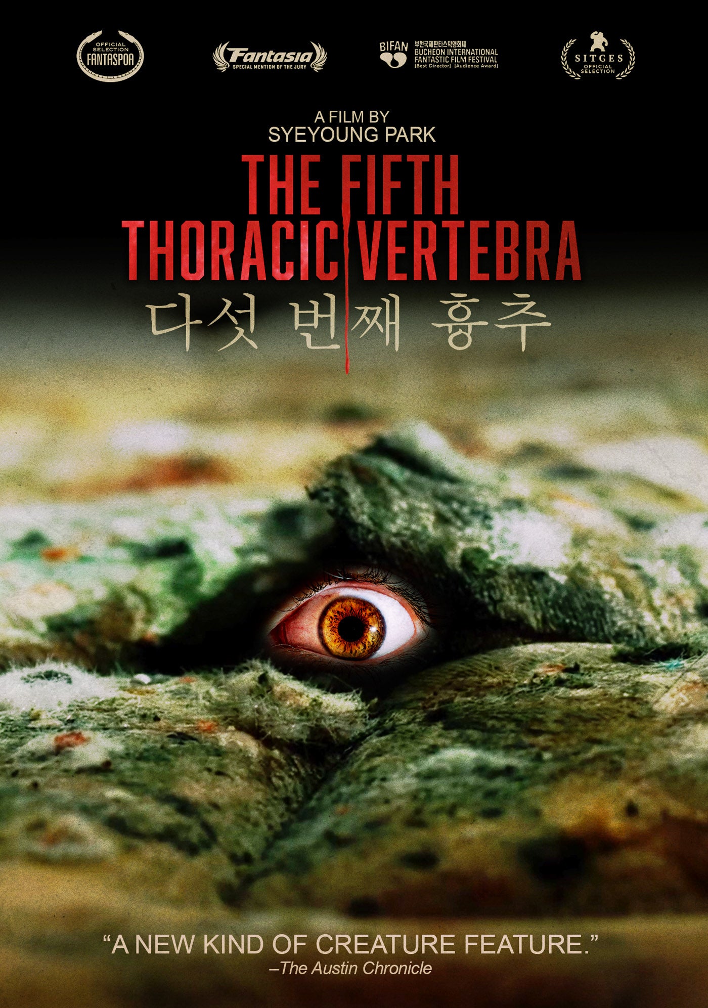 Fifth Thoracic Vertebra cover art