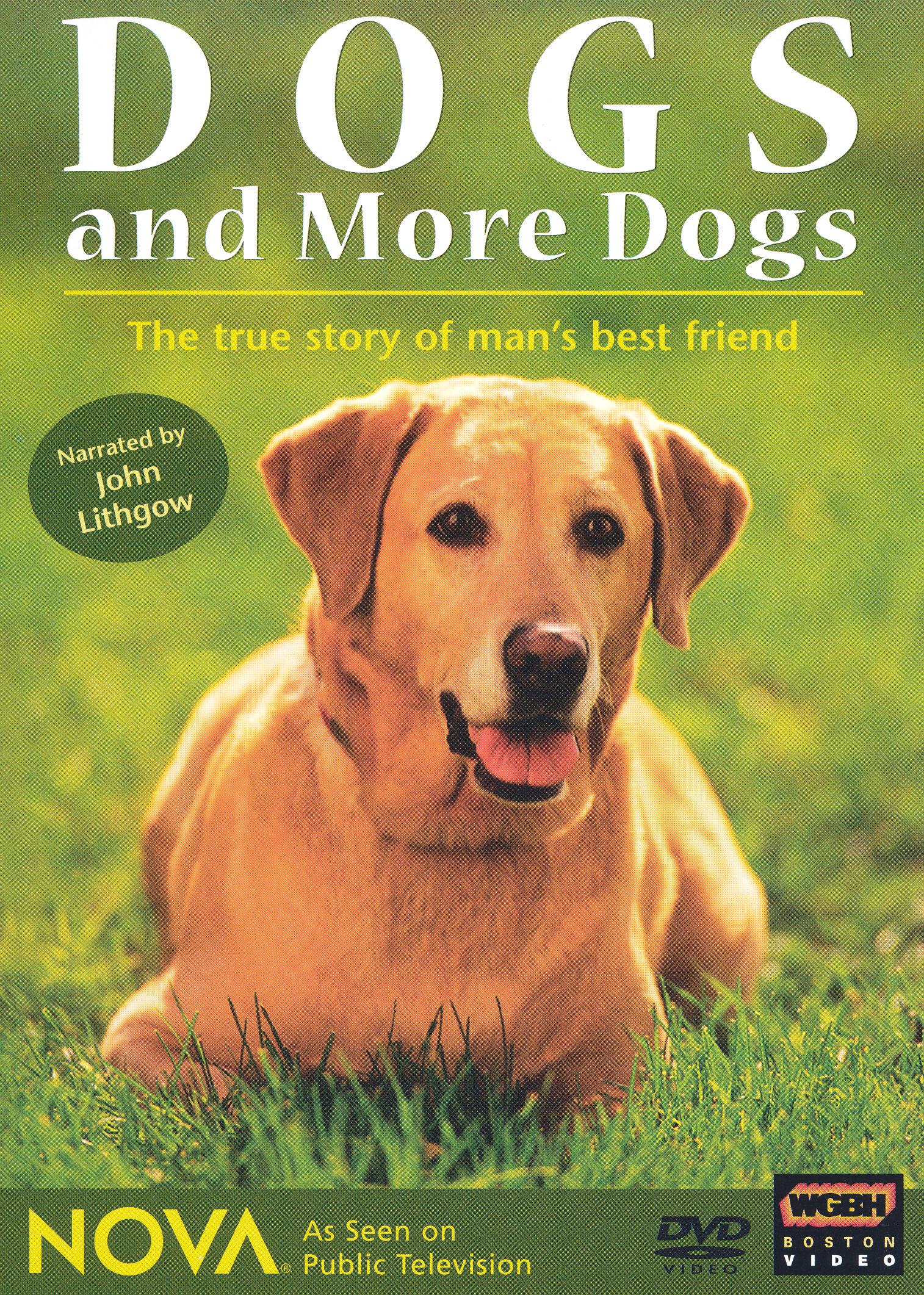 NOVA: Dogs and More Dogs cover art