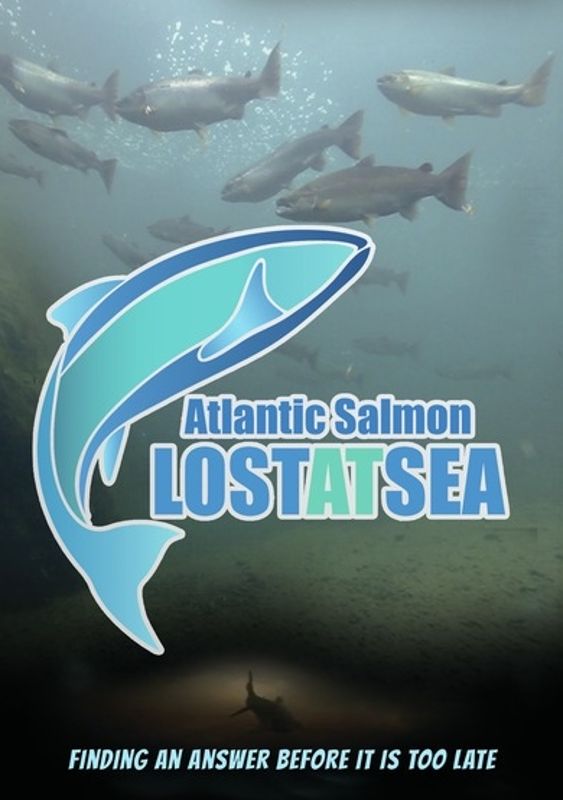 Atlantic Salmon: Lost at Sea cover art